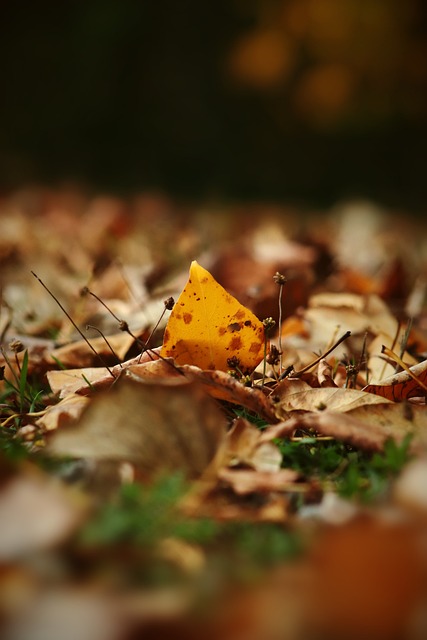 国足备战世界杯又晚了，邵佳一主打年轻牌，30岁老将淡出新国家队